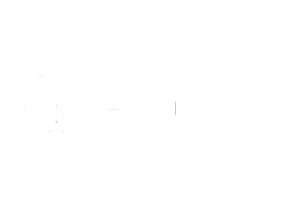 https://www.portnox.com/wp-content/uploads/2024/06/ford-foundation-white.png